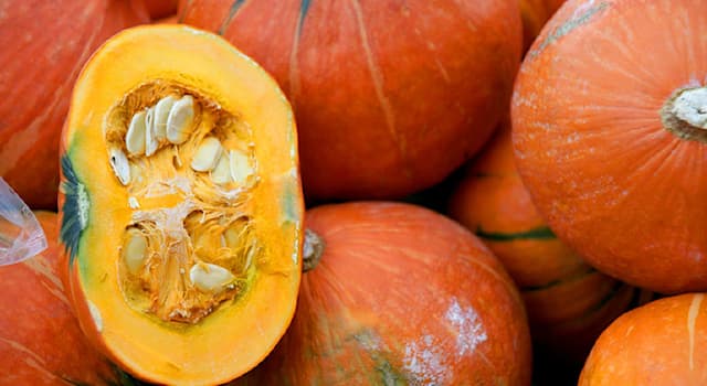 Nature Trivia Question: Where is the food staple squash native to?