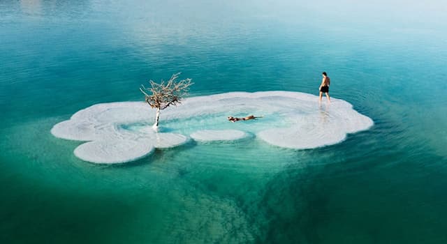 Nature Trivia Question: Where is this Dead Sea located that includes a small salt lake?