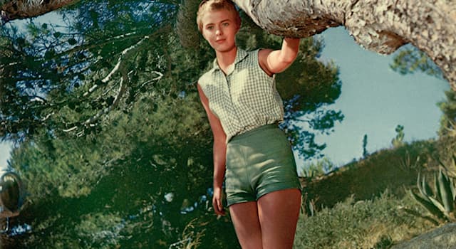Society Trivia Question: Which French writer did the actress Jean Seberg marry?