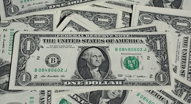 Society Trivia Question: As of 2018, according to the US Treasury, what is the average life of a US $1 bill in months of circulation?