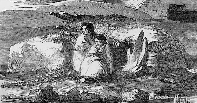 History Trivia Question: Between 1845 and 1850, what food caused the Great Irish Famine?