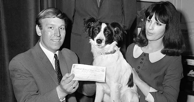 Спорт Вопрос: Что прославило собаку по кличке Пиклз в 1966 году?