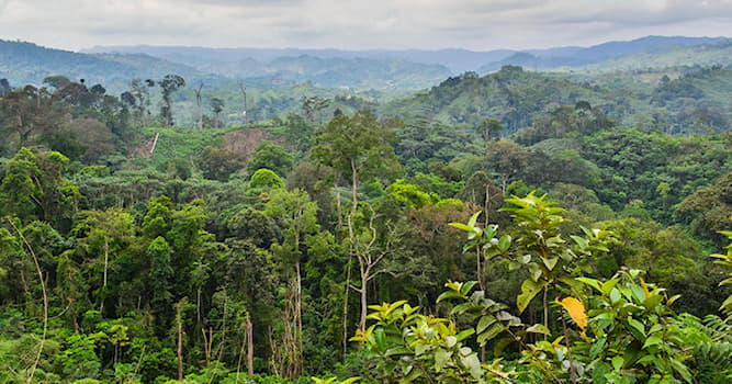 Geography Trivia Question: How many countries are generally associated with the Congo rainforest?