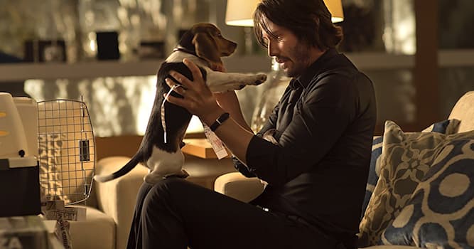 Movies & TV Trivia Question: Due to the death of which animal did the main character of the film "John Wick" begin to take revenge?