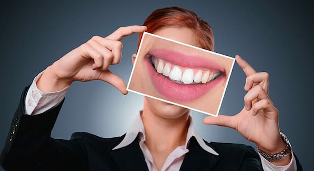 Наука Вопрос: Как называются задние зубы, которые служат для пережевывания пищи?