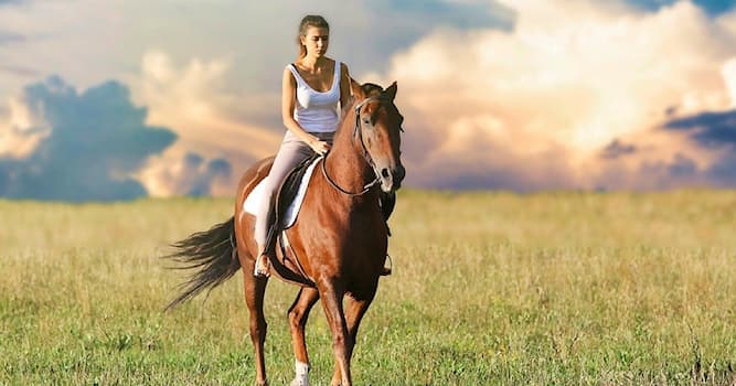 История Вопрос: Как в Средние века женщинам разрешалось ездить на лошади?