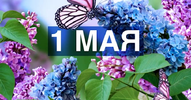 Общество Вопрос: Какой международный праздник отмечается 1 мая?