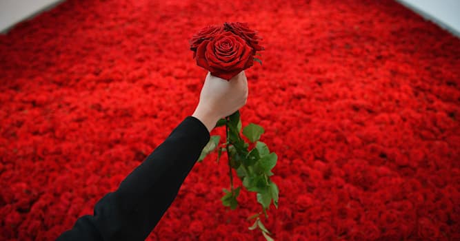 Культура Вопрос: Кому художник подарил миллион алых роз в известной песне Аллы Пугачевой?