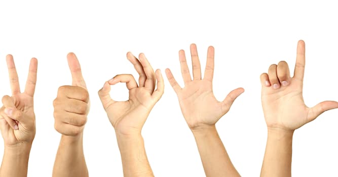Общество Вопрос: Одинаков ли язык жестов в разных странах?