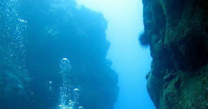 Geography Trivia Question: Off which U.S. coastal area can you find an underwater canyon that rivals the Grand Canyon?
