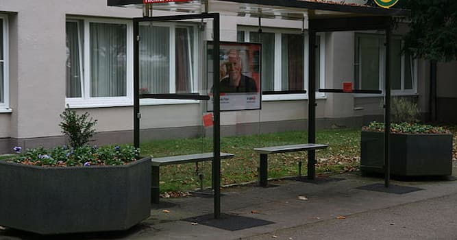 Общество Вопрос: Возле чего в Германии устанавливают фиктивные автобусные остановки?