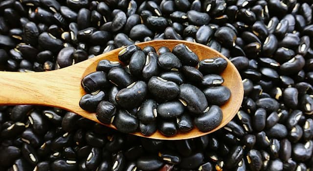 History Trivia Question: What became known as The Black Bean Episode?