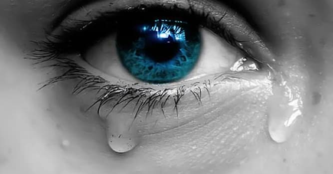 Science Trivia Question: What is the part of the eyes that drain tears called?