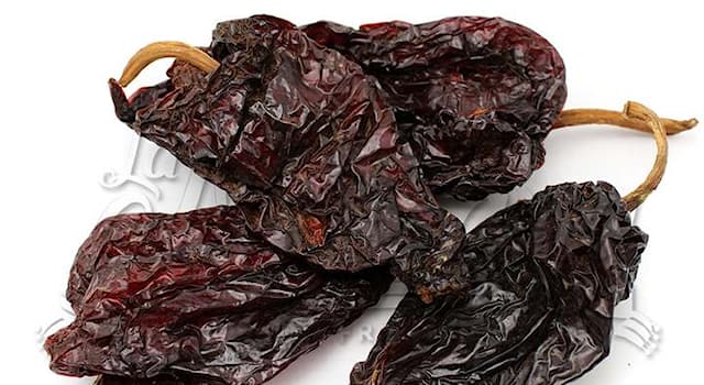 Culture Trivia Question: Which chili peppers are dried and become 'chile ancho'?