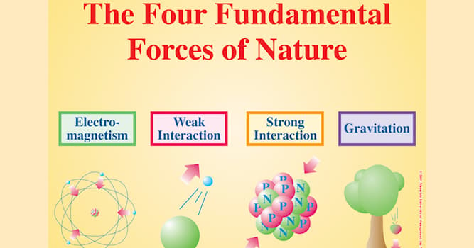 Science Trivia Question: Which of these forces is the strongest?