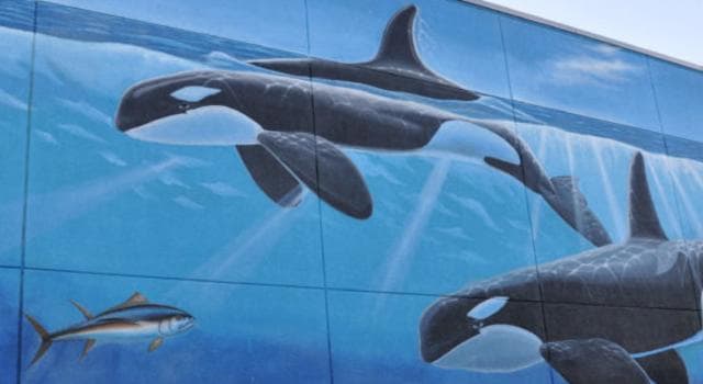 Culture Trivia Question: Who is the American artist and conservationist best known for his more than 100 “Whaling Walls”?