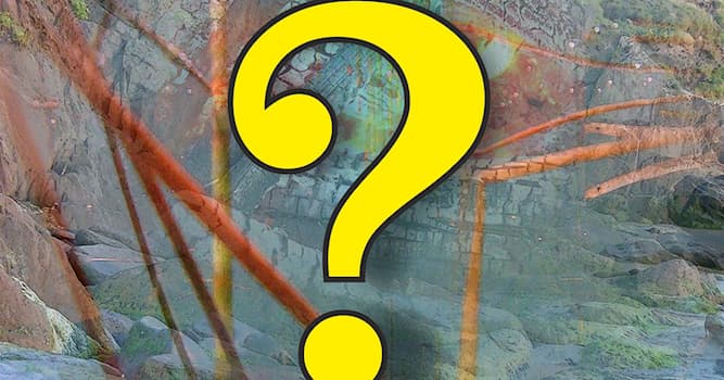 Naturaleza Pregunta Trivia: ¿Cómo se llama el insecto sin alas y huidizo a la luz que suele encontrarse en baños?