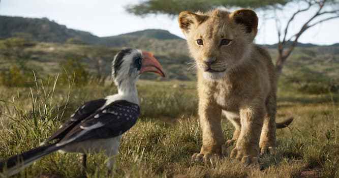 Кино Вопрос: Зазу из фильма «Король Лев» что за птица?