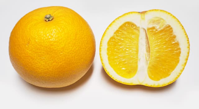 Doğa Trivia Sorusu: Bu meyvenin adı nedir?