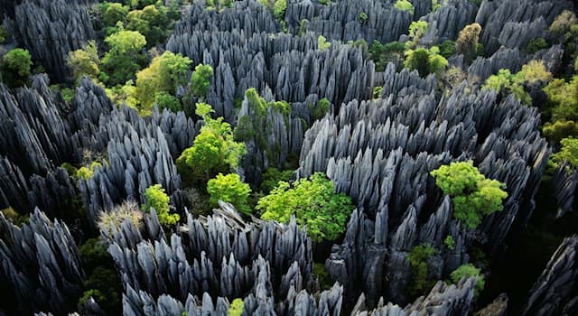 География Вопрос: Где находится этот природный резерват, называемый Цинги-де-Бемараха, знаменитый своим «каменным лесом»?