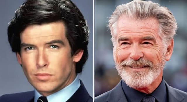 Movies & TV Trivia Question: How many of the James Bond film series did Pierce Brosnan star in from 1995 to 2002?