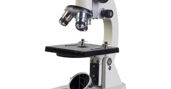 Наука Вопрос: Как называется главная часть микроскопа, на которой держится все остальное?
