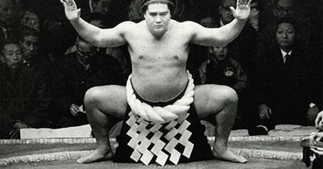Спорт Вопрос: Как называется высший титул борца в сумо?