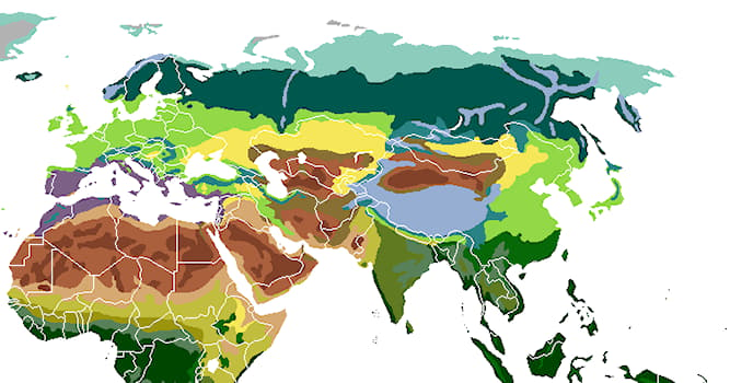 География Вопрос: Какие природные зоны существуют в Евразии?