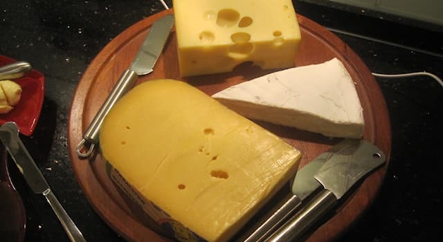 Общество Вопрос: Какой сыр назван в честь голландского города?