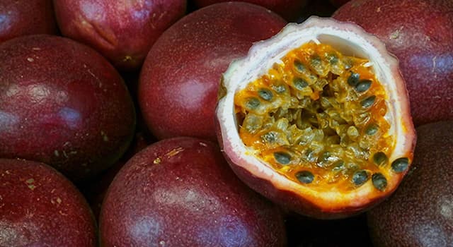 Doğa Trivia Sorusu: Marakuya hangi ülkeye özgüdür?