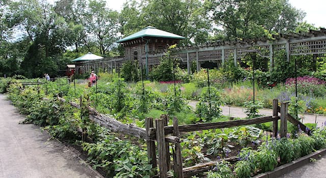 natura Pytanie-Ciekawostka: W jakim kraju znajduje się Ogród Botaniczny w Montrealu?