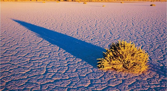География Вопрос: На каком из материков нашей планеты находится климатическая зона, называемая пустыней Большого Бассейна?