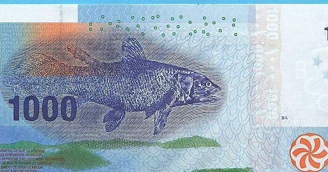 География Вопрос: На купюре какого государства изображена рыба латимерия?