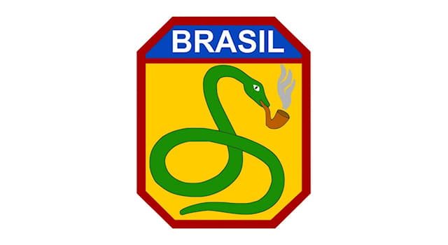 История Вопрос: По какой причине бразильские солдаты носили шевроны с курящей змеёй во время II Мировой войны?