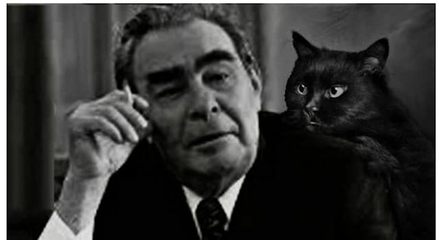 Общество Вопрос: Полноправным членом семьи руководителя СССР Леонида Брежнева был кот. Кто подарил его генсеку?