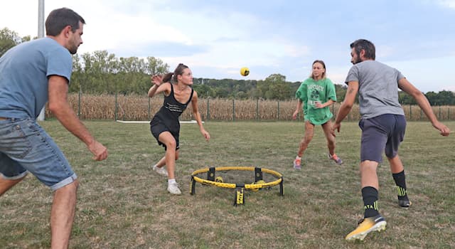 Deporte Pregunta Trivia: ¿Quién inventó el juego conocido como Spikeball o Roudnet o Trivolle?