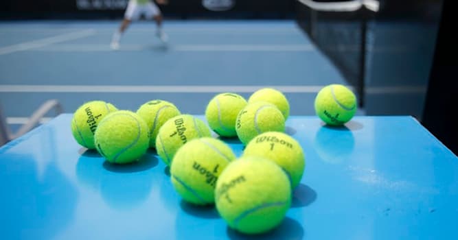 Спорт Вопрос: Сколько весит теннисный мяч?