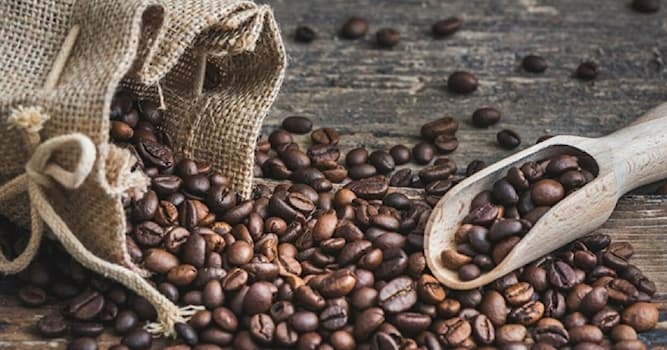 География Вопрос: Какая страна стоит на первом месте по производству кофе?