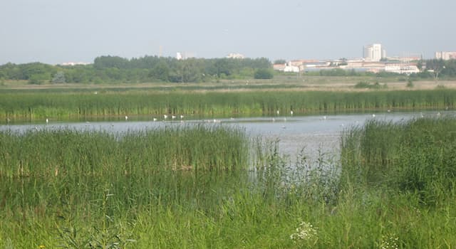 География Вопрос: В каком российском городе есть природный парк в черте города — «Птичья гавань»?