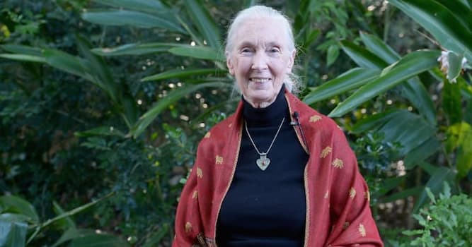 Science Trivia Question: What is Jane Goodall, an English primatologist and anthropologist, best known for?