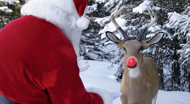 Culture Trivia Question: What is the major description of Santa's reindeer Rudolph?