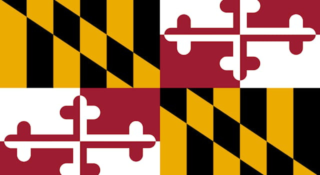 Culture Trivia Question: What is the second most spoken language in Maryland (U.S.A) after English?