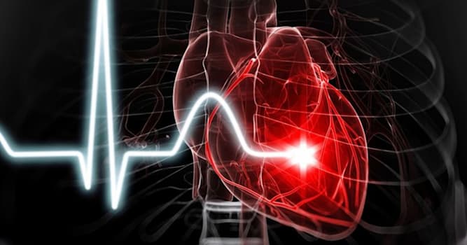 Наука Вопрос: За счёт каких клеток сердце способно генерировать импульсы внутри себя?
