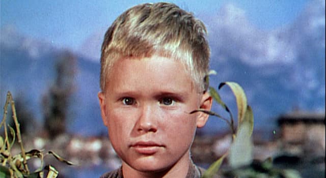 Movies & TV Trivia Question: As a childhood actor Brandon de Wilde did not have an acting role in which of these films?