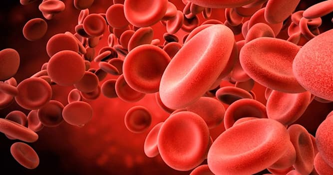 Wetenschap Trivia Vraag: Wat is hemofilie?