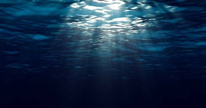 Geografia Domande: In quale mare si trova la fossa Calypso?