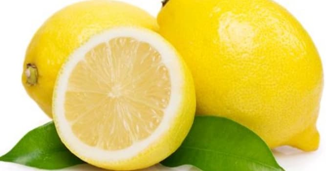 Nature Trivia Question: Lemon is a fruit of which genus?