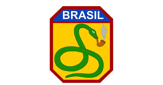 История Вопрос: По какой причине бразильские солдаты носили шевроны с курящей змеёй во время II Мировой войны?