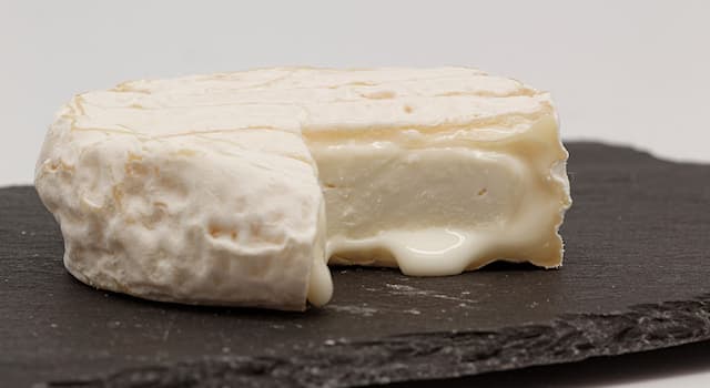 Gesellschaft Wissensfrage: In welchem Land wird der Pélardon-Käse hergestellt?