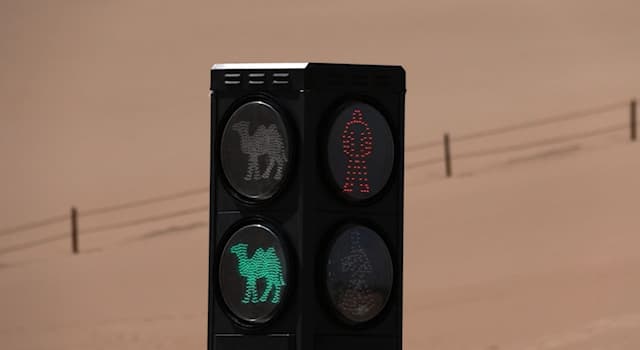 Geography Trivia Question: Which country was the first to install traffic lights for camels?